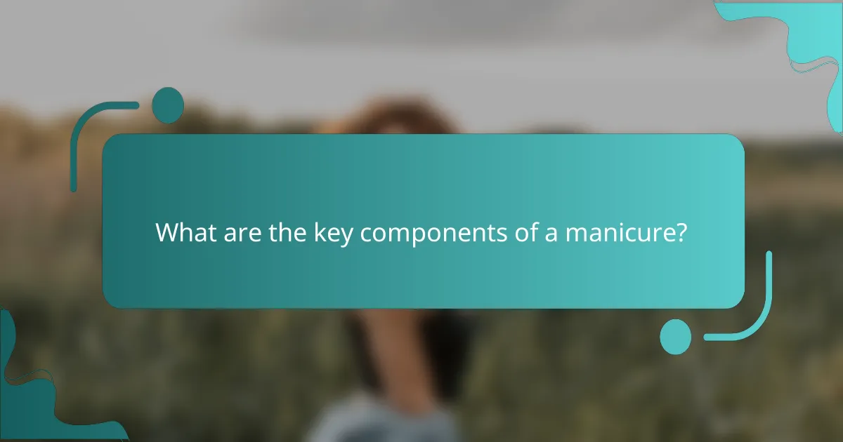 What are the key components of a manicure?
